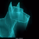 Holograph Dogs