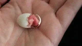 umiiiika.lens-Collect-178