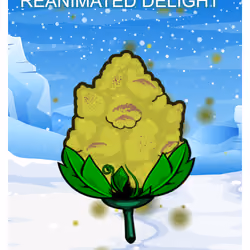 Reanimated Delight