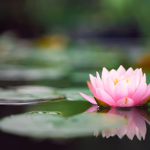 0xa11768043ca01eadbc4ec3b3fe7169b672239756