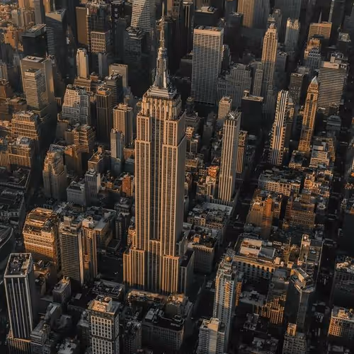 syncs.lens-Collect-287