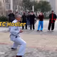 freedogecoin.lens-Collect-384