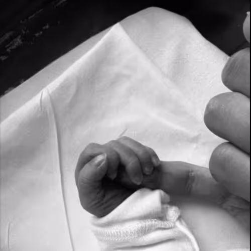 lkang76804888.lens-Collect-428