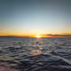 OUT TO SEA