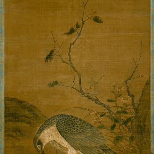 Unknown