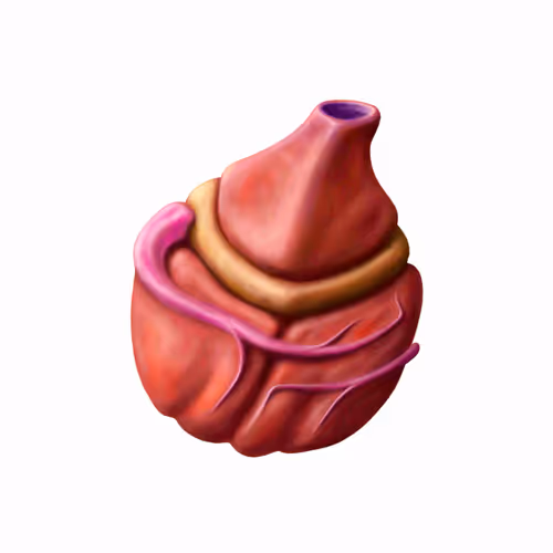 thefaketomato.lens-Collect-836