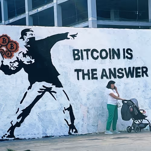 hualala.lens-Collect-1289