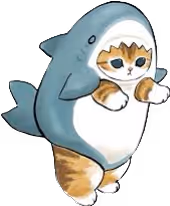 Babyshark cat