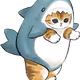Babyshark cat