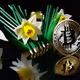 BTC_chopsticks and Daffodil