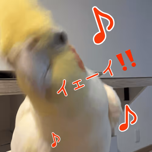 chanchan-party