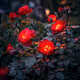 Red Rose