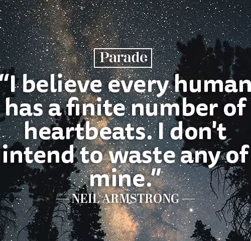 zahrapanahi.lens-Collect-381