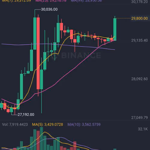 hogwart.lens-Collect-261