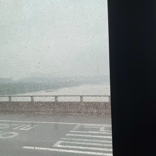 inphasepanther.lens-Collect-633