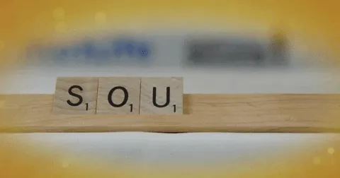 hongxinh321.lens-Collect-105