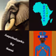 African Pride V4