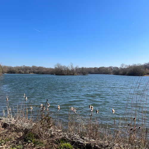 zospours.lens-Collect-2648