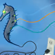 Seahorse V2