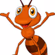 Ant Rani