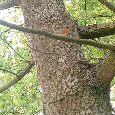 jiaoyi.lens-Collect-4