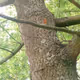 jiaoyi.lens-Collect-4