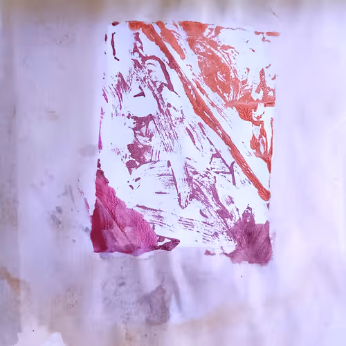 The ISLA TS Collection