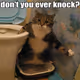 90