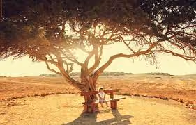 calm days