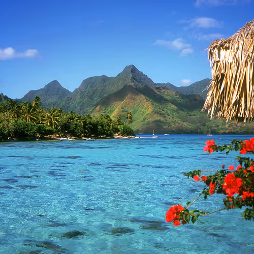 The sea