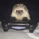 SquishyCOllectionv2