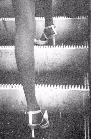 Item #107839786668602559178668060348078522694548577690162289924414440996865 Media