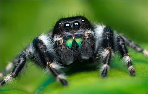 Collection#1 - TItWGJdmwb