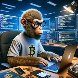 SOFTWARE DEVELOPER BTC MONKEY