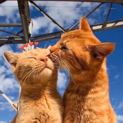Post by @metatown.lens
