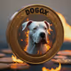 DOGOX9999