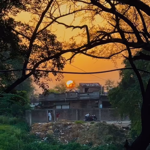 Nature Vibes