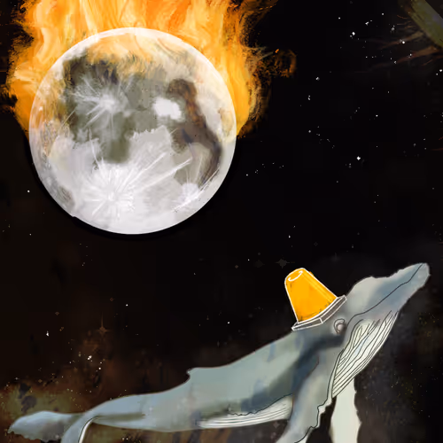 Bitcone Whale