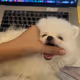 DaisyLoveLove