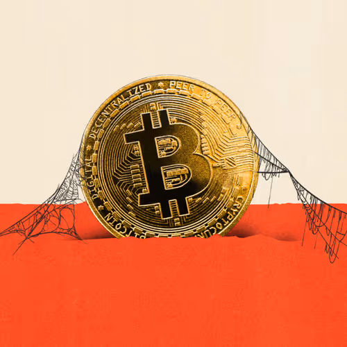 Lens Collect | Profile #117755 - Publication #33