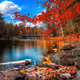 Autumn collection V2