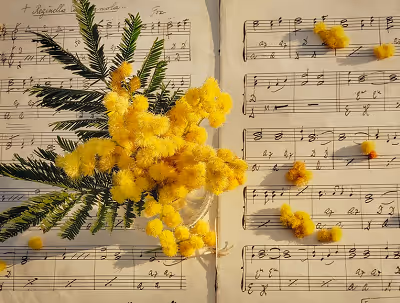 Sheetmusic 2