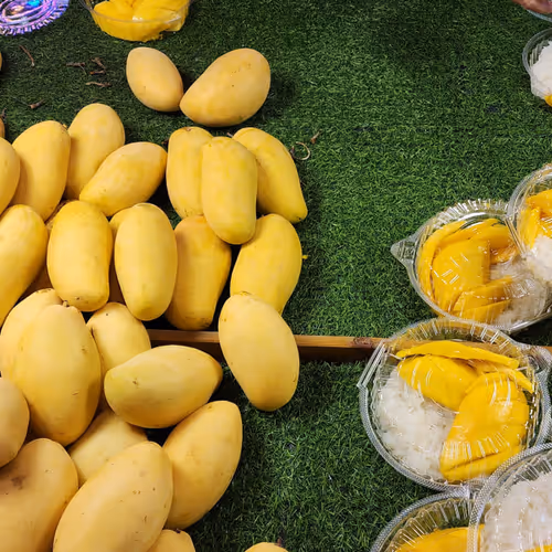 affluent.lens-Collect-327