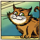 Cats 30'