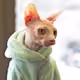 Catty