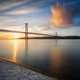 Tejo