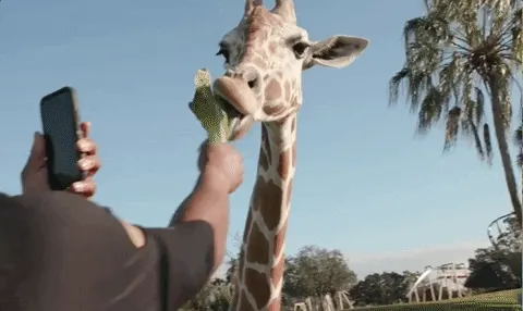 zhaozilong.lens-Collect-352