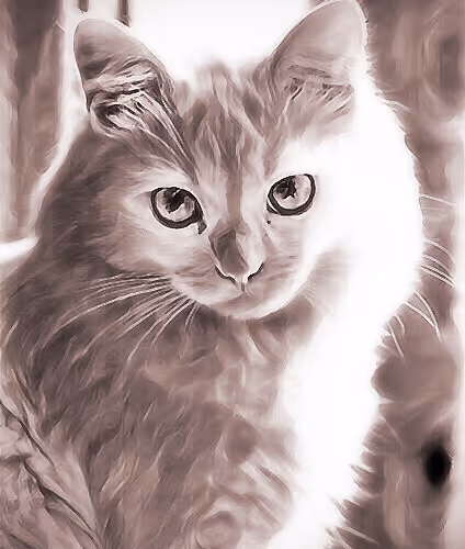 cutie_baby