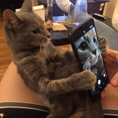 zeusxgod.lens-Collect-464