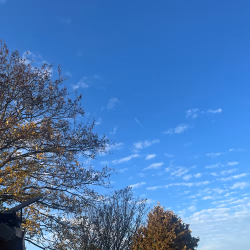 Lens Collect | Profile #101580 - Publication #6493